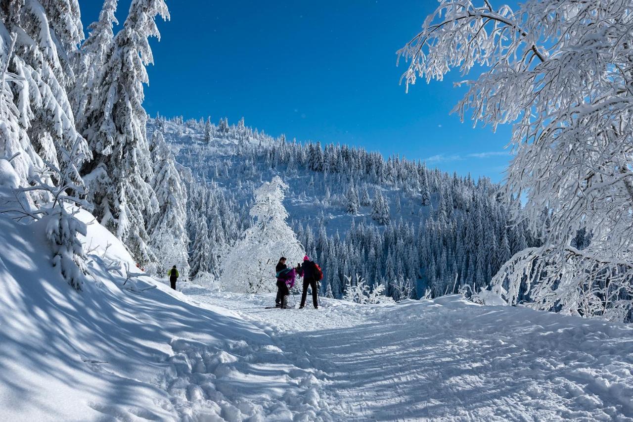 Stara Zvonica Hotel Nizna Boca Luaran gambar